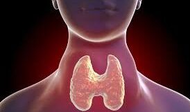 thyroid, thyroid tablets, thyroid symptoms in female, causes of thyroid in female, thyroid test, thyroid treatment, 19 signs of thyroid problems, thyroid gland, thyroid symptoms in male,