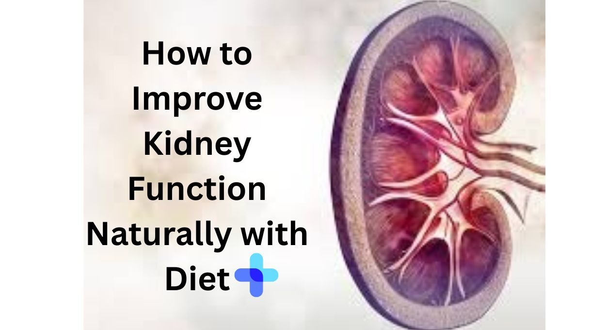 kidney , Best foods for kidney health, How to improve kidney function naturally, Low potassium foods for kidney disease, Kidney cleanse foods,, Foods to avoid with kidney disease, High creatinine diet, Kidney repair diet, Natural kidney detox, Best protein for kidneys,
