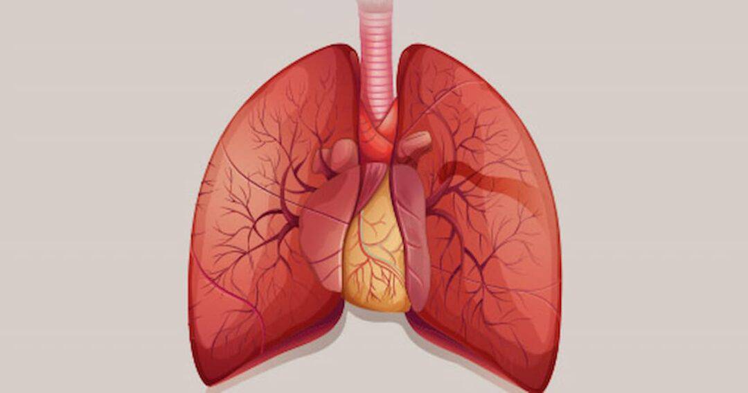 Asthma, What is asthma, Asthma symptoms, Asthma causes, Asthma treatment, Asthma diagnosis, Asthma management, Types of asthma , Asthma complications, Asthma prognosis,